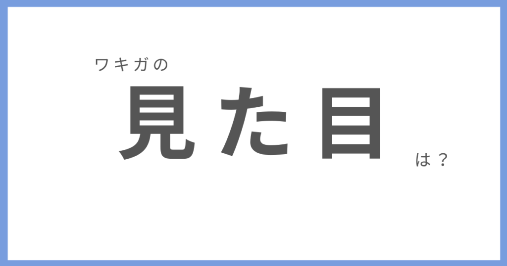 ワキガの見た目